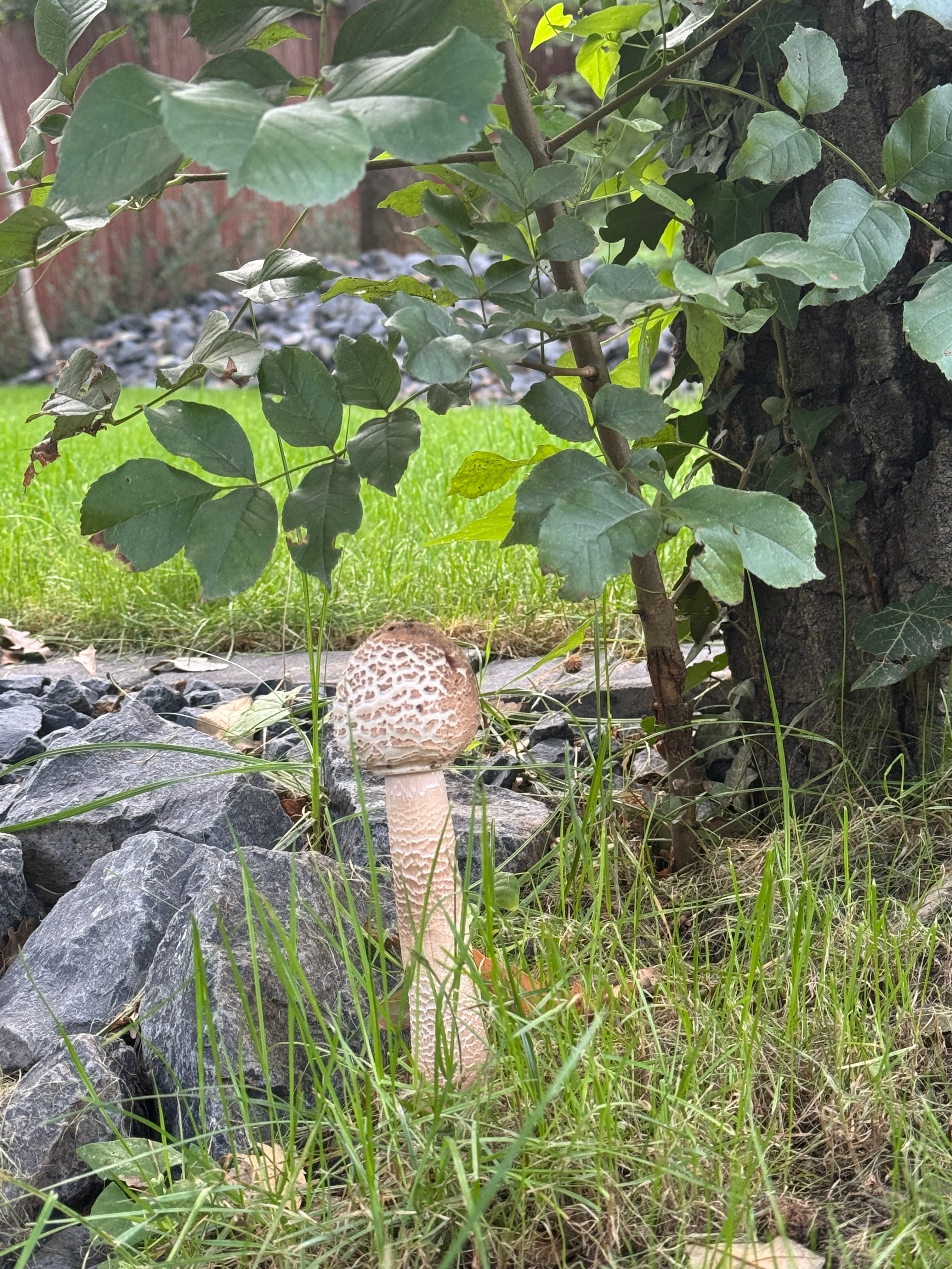 Környék